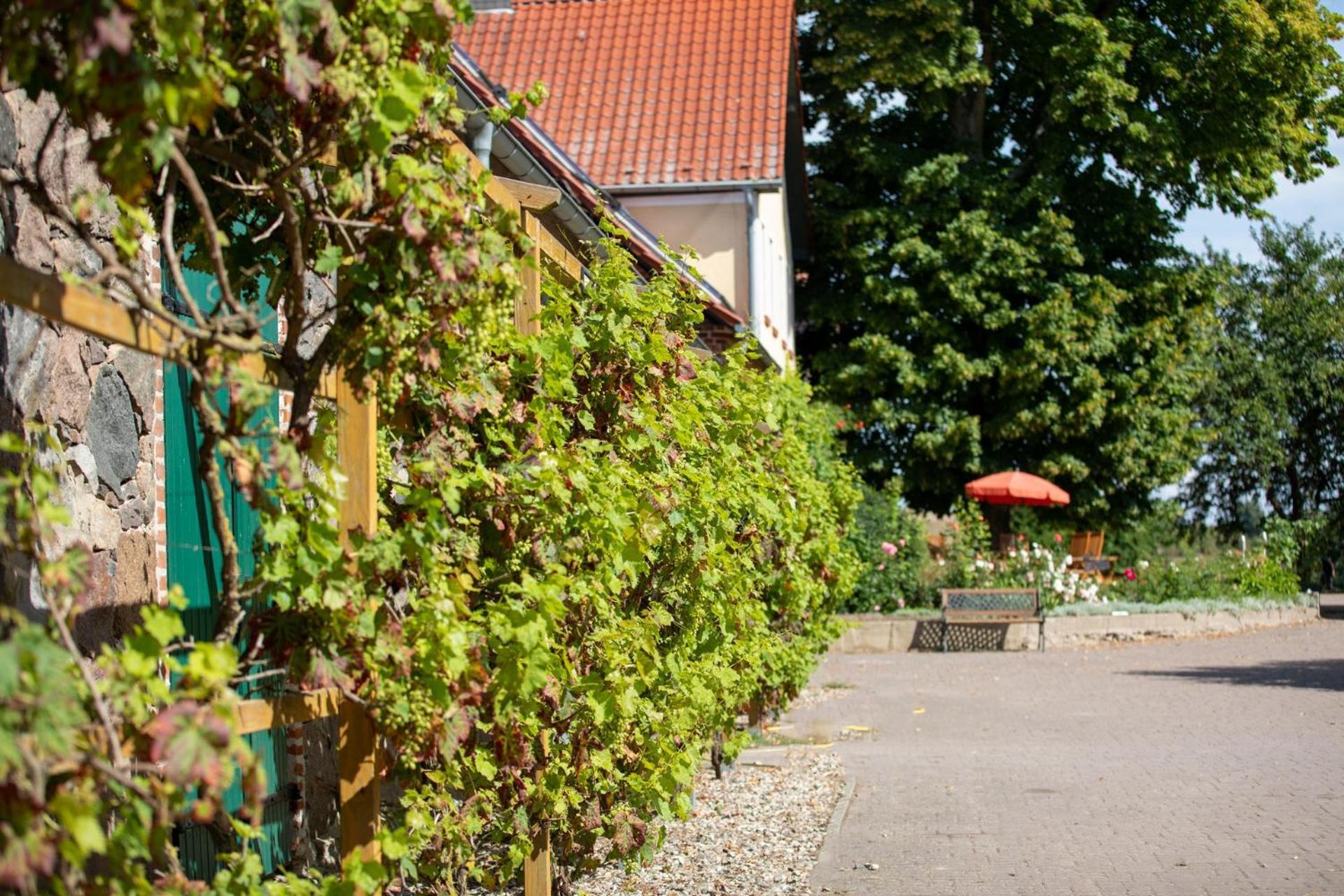 Landurlaub Auf Dem Mellenhof Funkenhagen Exterior foto