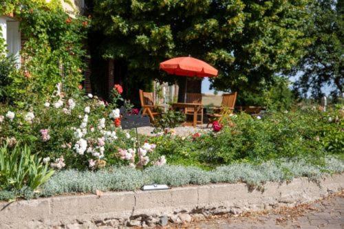 Landurlaub Auf Dem Mellenhof Funkenhagen Exterior foto